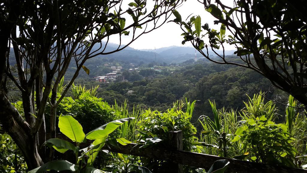 Hotel Las Orquideas Monteverde 外观 照片